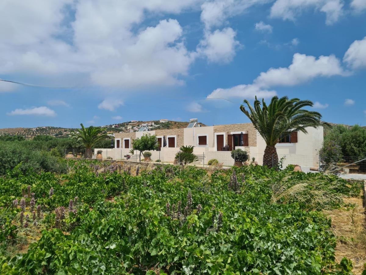 Olivar Suites Palekastro Exterior foto